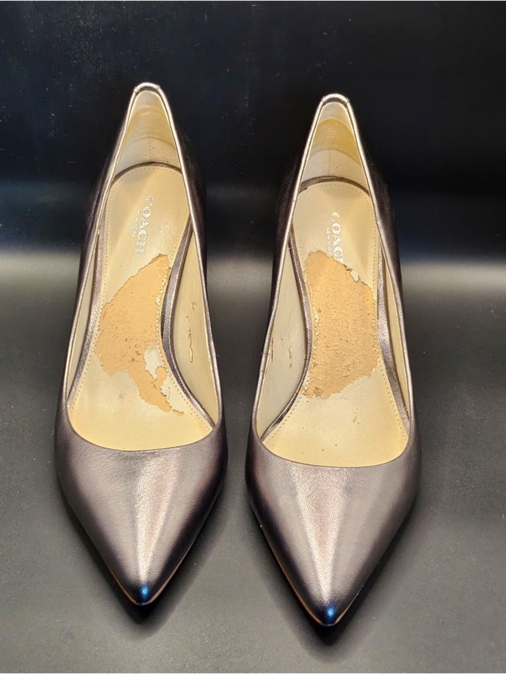 Luxury Designer Coach Metallica Leather Kitten Heels New in Box
